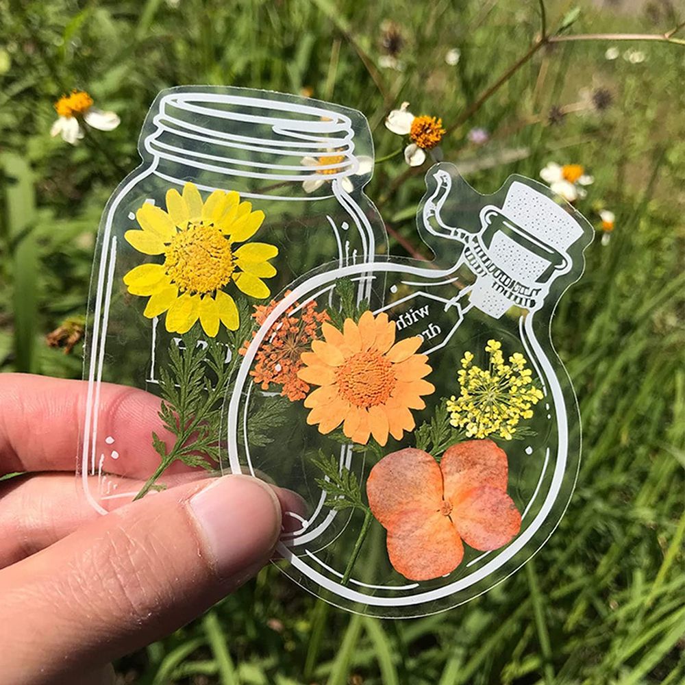 30Pcs DIY Transparent Dried Fl - Dried Flower Bookmark 리뷰 및 가격