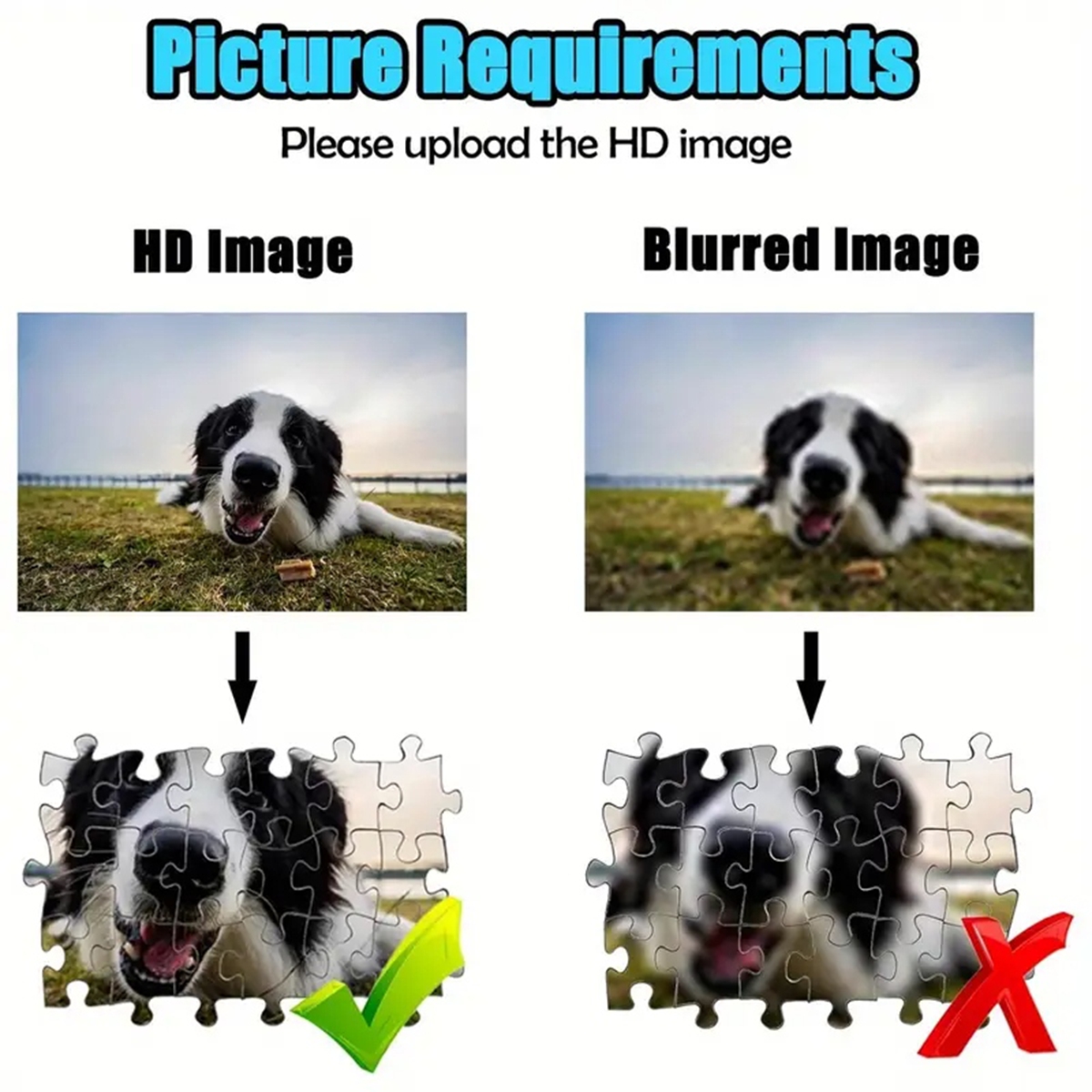35/300/500/1000pcs Personalize - Pet Portrait Custom 리뷰 및 가격