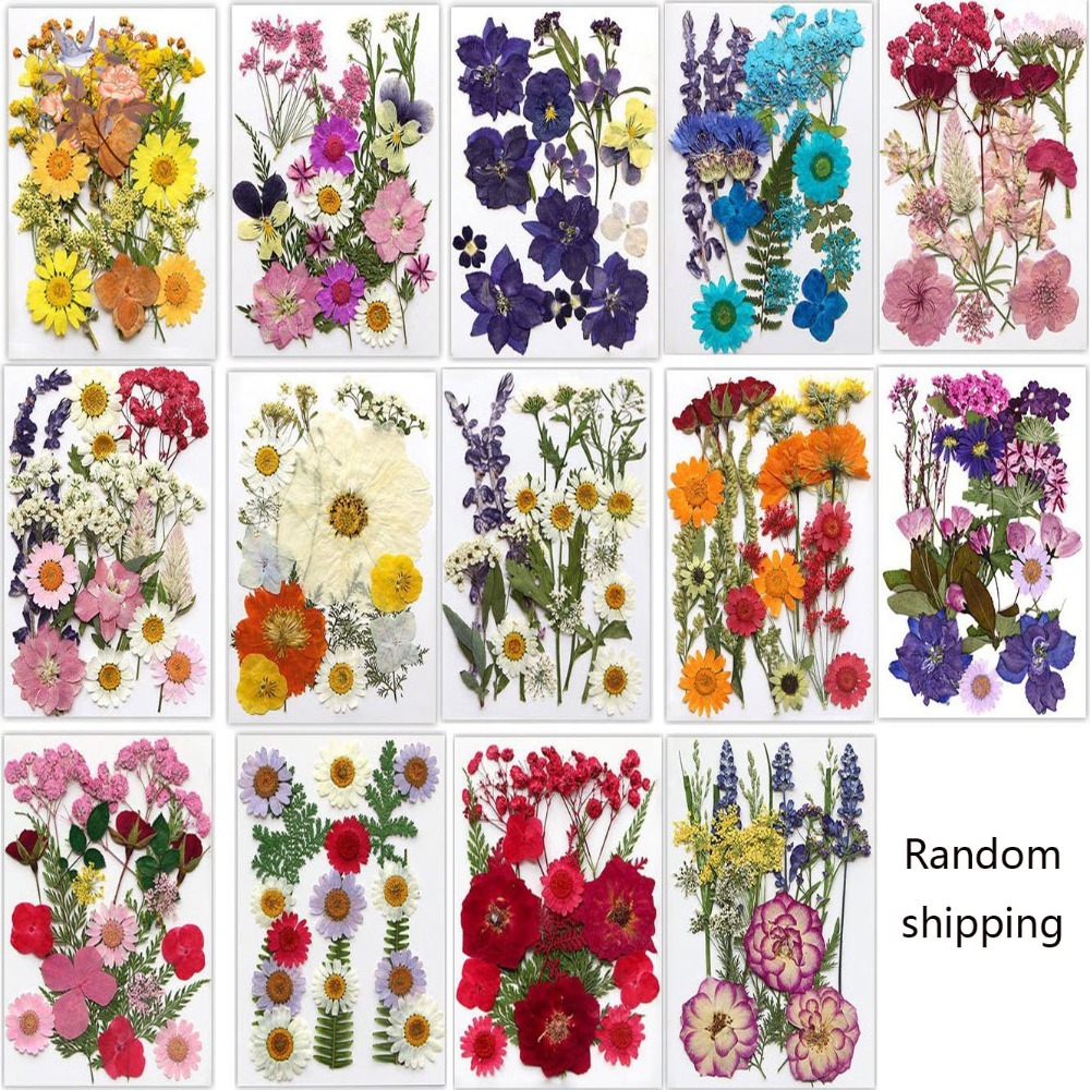 Handmade Pressed Dried Flowers - Dried Flower Bookmark 리뷰 및 가격