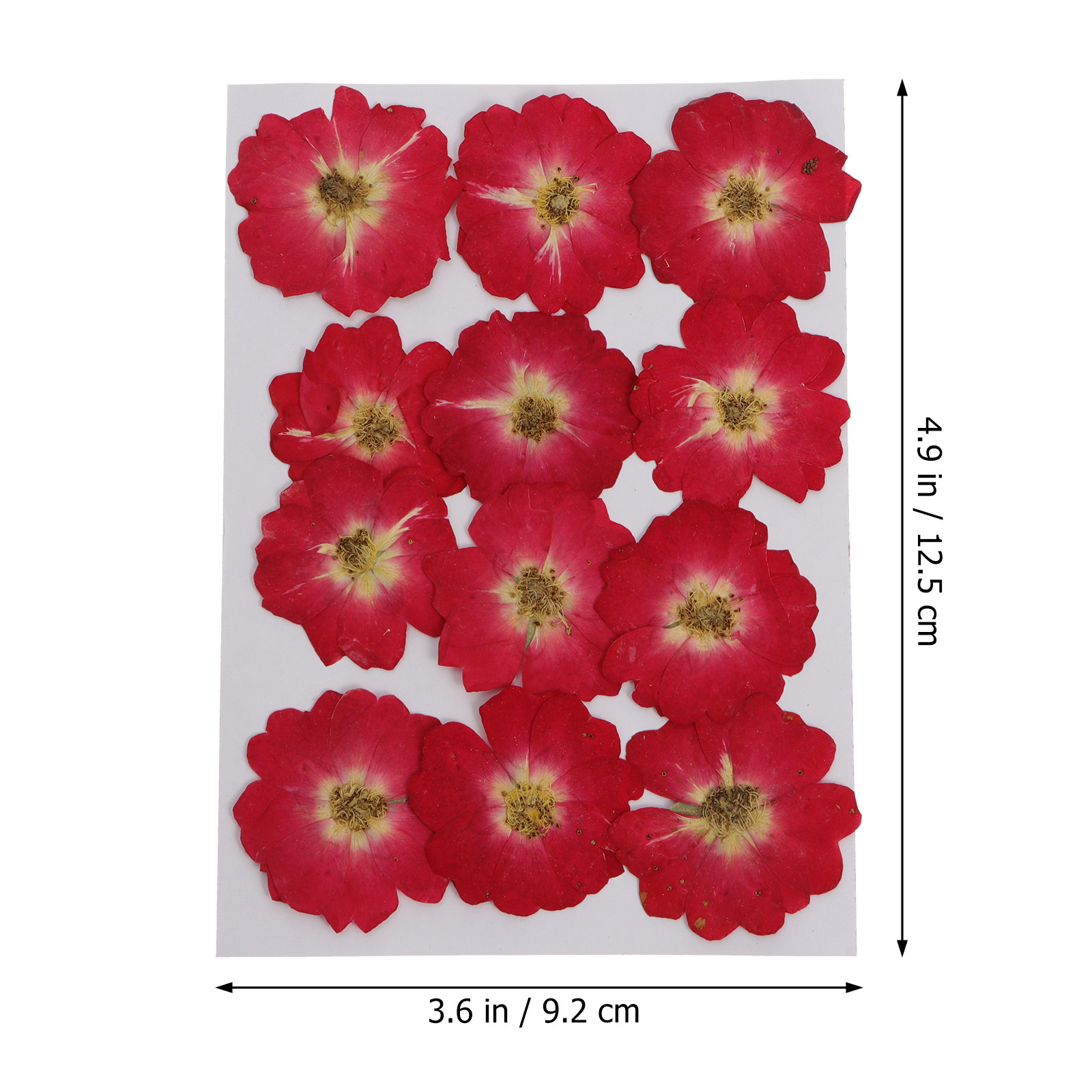 12Pcs Dried Pressed Flowers Na - Pressed Flower Art 리뷰 및 가격