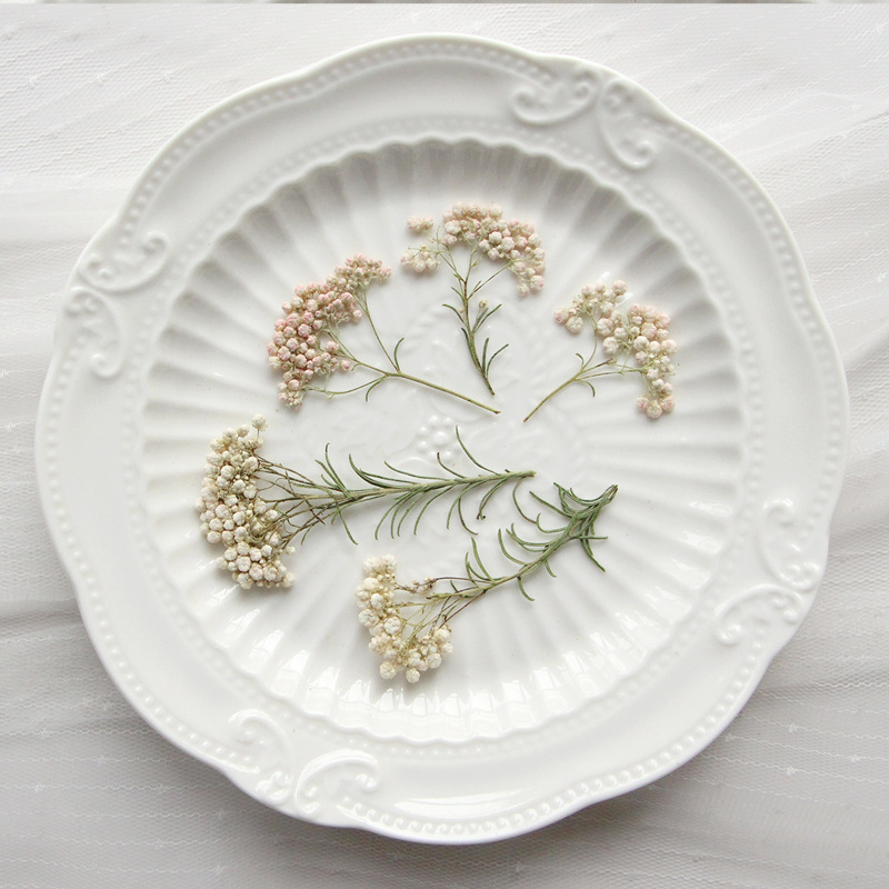 12pcs,Nature Millet flower bra - Dried Flower Bookmark 리뷰 및 가격