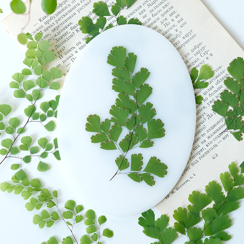 60Pcs Natural Plant Real Flowe - Dried Flower Bookmark 리뷰 및 가격