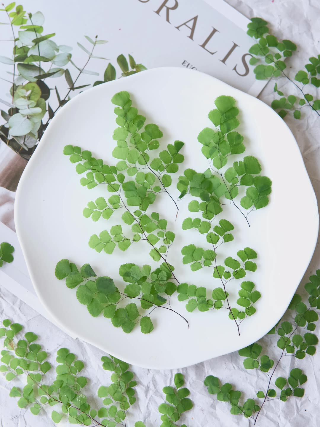 60Pcs Natural Plant Real Flowe - Dried Flower Bookmark 리뷰 및 가격