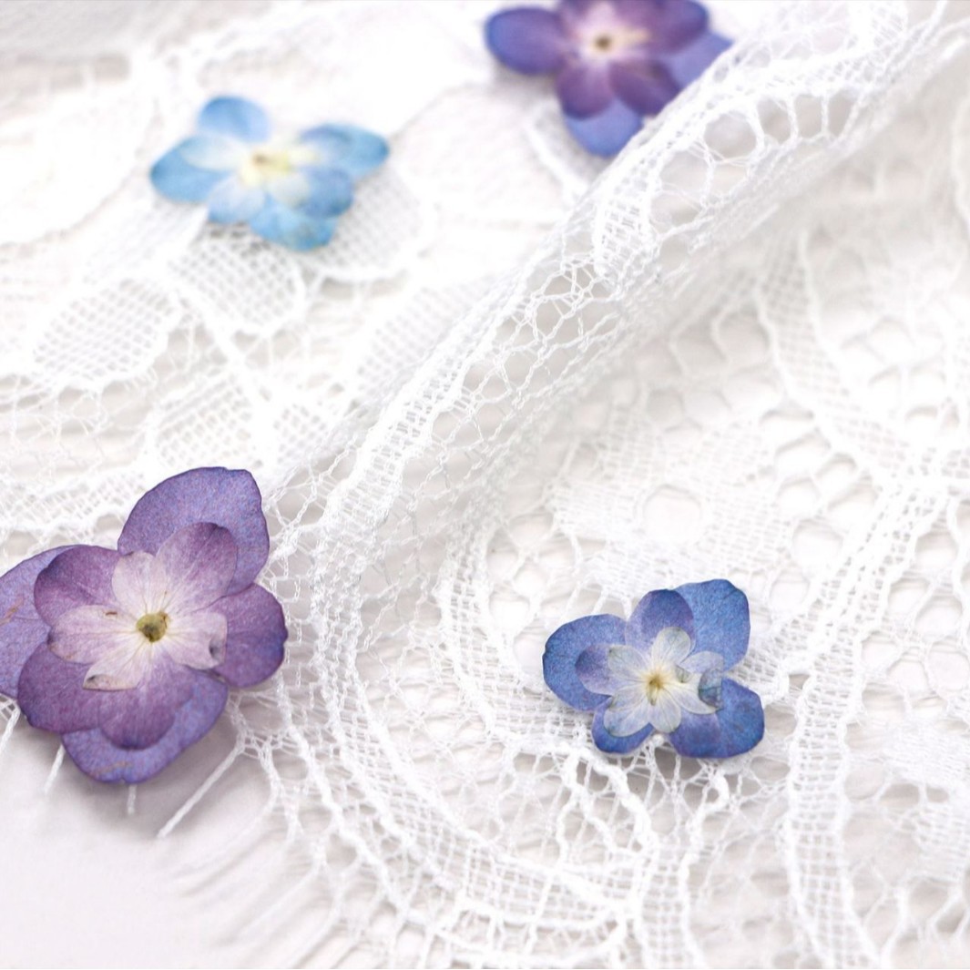 60Pcs Mini Double-Flowered Hyd - Dried Flower Bookmark 리뷰 및 가격
